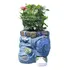 Lindos Plantadores Para Plantas De Interior E Exterior, Pequ