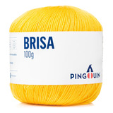 Linha Brisa 100g Pingouin Acrílico Macrame Croche Cores