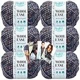 Lion Brand Yarn Wool-ease Thick & Quick - Estampas E Listras - Pacote Com 6 Com Cartões Padrão - 640-527 (abalone)
