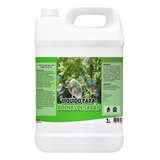 Liquido Bolha De Sabão Bolinhas De Sabão Fluido 5 Litros
