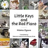 Little Keys And The Red Piano