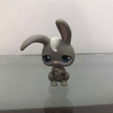 Littlest Pet Shop Coelho