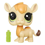 Littlest Pet Shop Garbanzo