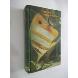 Livro Exotic