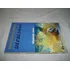 Livro - Reflexões Sobre A Depresão - Wlademir Lisso - Out 