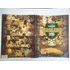Livro Álbum Campeonato Brasileiro 2010 Com 170 Figurinhas Para Colar - Panini [2010]