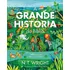 Livro A Grande História Da Bíblia, De N.t. Wright. Editorial Thomas Nelson Brasil, Capa Dura, Edição 1 Em Português, 2024