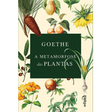 Goethe