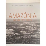 Livro Amazônia Nano bio tech acertos