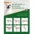 Livro Anatomia Dos Animais Domésticos