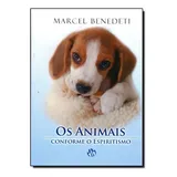Livro Animais Conforme O