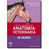 Livro Atlas Colorido De Anatomia Veterinária De Equinos