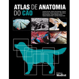 Livro Atlas De Anatomia