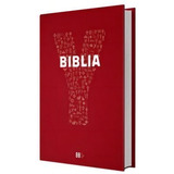 Livro Biblia Jovem Youcat
