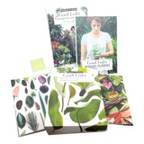 Livro Box Minhas Plantas - Jardinagem Para Todos / Paisagismo Para Todos - Carol Costa