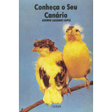 Criação