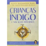Livro Criancas Indigo E