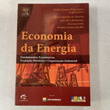 Livro Economia Da Energia Fundamentos Econômicos Evolução Histórica E Organização Industrial Helder Queiroz Pinto Junior Vários Autores 2007 