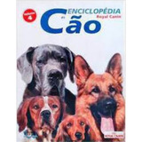 Edição