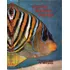 Livro Exotic Marine Fishes