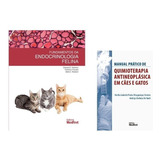 Gatos