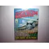 Livro Ilustrado Álbum De Figurinhas Campeonato Brasileiro 1994 Completo