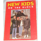 Livro Ilustrado Álbum New Kids On The Block Incompleto 1991