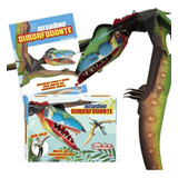 Dimorfodonte