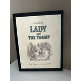 Livro Lady And The
