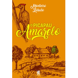 Livro O Picapau Amarelo De Lobato Monteiro Editora Camelot Capa Mole Em Português 2022