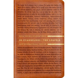 Livro Os Evangelhos 