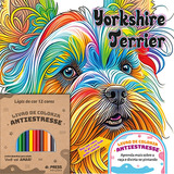 Terrier