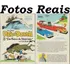 Livro Pato Donald - Em Busca Do Unicórnio - Por Carl Barks ( Considerado O Beethoven Dos Gibis ) - Volume 08 - Hq Gibi, Capa Dura