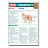 Gato