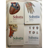 Livro Sobotta Atlas De Anatomia Humana 23 Edição Box 4 Vols