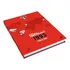 Livro Spfc - 1993 O Ano De Ouro 