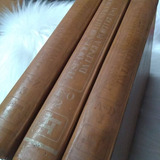 Livro Tese Dicionario Ilustrado Da Lingua Portuguesa Volumes