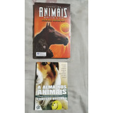 Livro Todos Os Animais