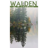 Livro Walden colecao