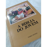 Livros Biblia Jovem Seleção De Textos Biblicos