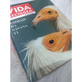 Livros Enciclopedia Da Vida Selvagem Larousse Animais Da Savana Vi