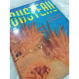 Livros Grande Aventura De