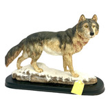 Lobo Cinzento Das Montanhas By Veronese