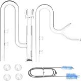 Lonmercaite Aquatic Mini Glass Lily Pipe Protein Skimmer Influxo E Saída Para Mini Sistema De Filtro Nano Tanque Para Acessórios De Aquário Conjunto De 10 Mm 