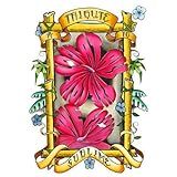 Look At All Love We Found  Tribute To Sublime  Audio CD  Various Artists