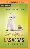 Lost Kitten In Las Vegas