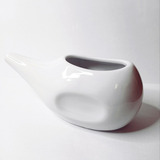 Nasal