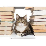 Lote 10 Livros Diversos P sebos Ou Bibliotecas 