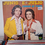 Lote Com 10 Discos De Vinil Sertanejos Diversos Lote 6
