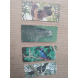 Lote Com 10 Figurinhas Chocolate Surpresa Nestlé